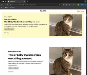 A screenshot of a website with different teaser cards. All images feature a striped brown cat.
